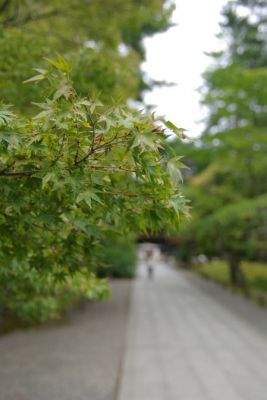 IMGP0813.JPG